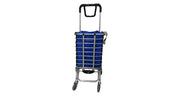 Green Lion Foldable Shopping Trolley - Silver