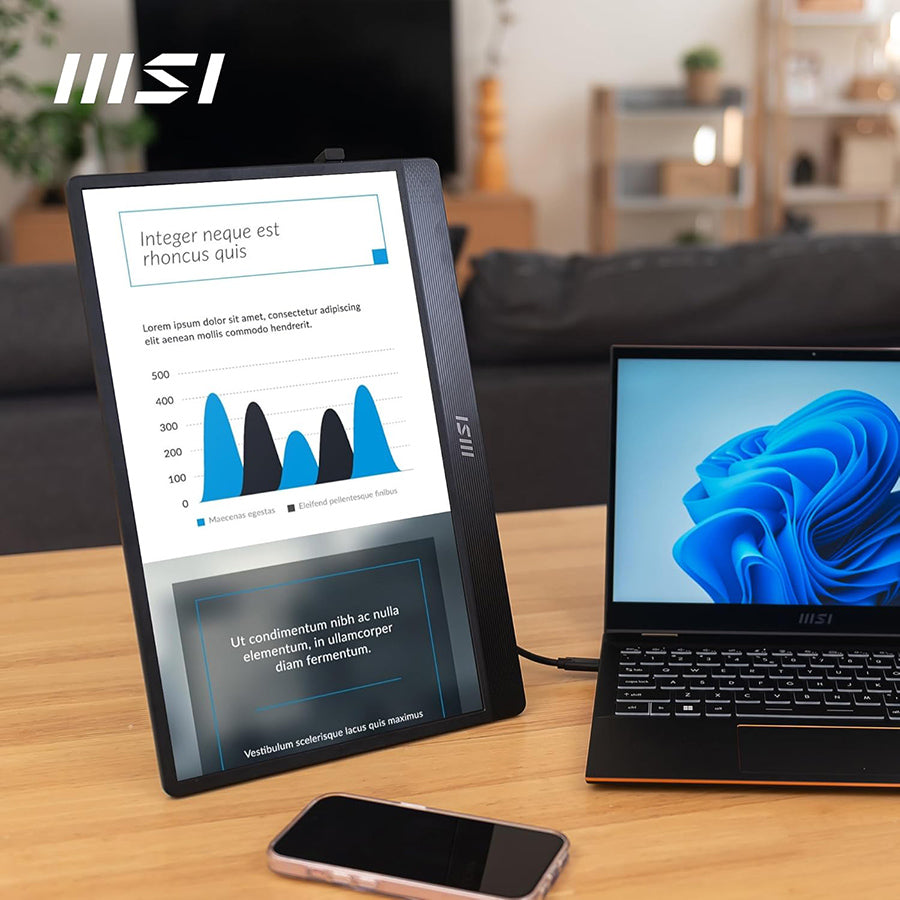 MSI PRO MP165 E6 15.6 inch Portable Monitor - back